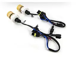 Ксенонова лампа Infolight H1 5000К +50
