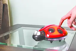 Нічний світильник DreamBaby Ladybug, червоний з чорним (F689) - мініатюра 4