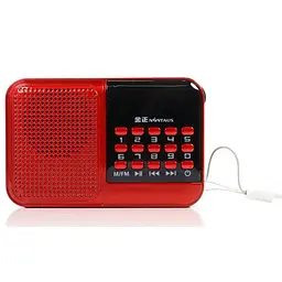 Радіоприймач з FM радіо на акумуляторі, переносний приймач червоний USB MicroSD BKK S61