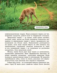 Тварини навколо нас - мініатюра 4