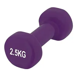 Гантель вінілова PowerPlay 4125 Achilles 2.5 кг Фіолетова 1 шт (PP_4125_2.5kg)