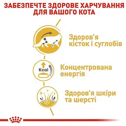 Набір вологого корму для дорослих кішок породи мейн-кун Royal Canin Maine Coon Adult шматочки в соусі 1.02 кг (12 шт. х 85 г) - мініатюра 6