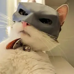 Кажан- Кіт - Маскбат Кот Маска Кот - мініатюра 3
