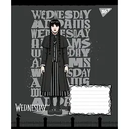 Набір зошитів Yes Wednesday Школа Загадок А5 24 аркуші у лінію 25 шт. (768271) - мініатюра 3