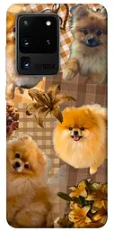 TPU чохол Demsky Spitz aethtetic для Samsung Galaxy S20 Ultra