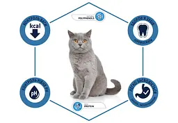 Сухий корм для стерилізованих кішок Advance (Едванс) Sterilized Adult з індичкою 3 кг - мініатюра 5