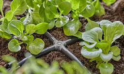 З'єднувач хрестоподібний Gardena Micro-Drip-System для шлангів 4,6 мм, 10 шт (13214-20) - мініатюра 3