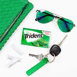 Жуйки Trident spearmint 14 sticks - мініатюра 7