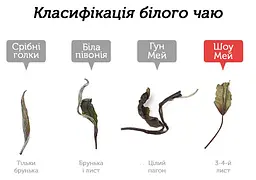 Чай Newtea Шоу Мей Лі Да 2020 р. - млинець 350 г - мініатюра 3