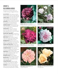 Grow Roses. Essential Know-how and Expert Advice for Gardening Success - мініатюра 6