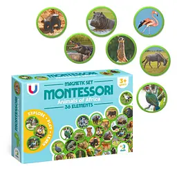 Дитячий магнітний набір Монтесорі "Тварини на континентах: Африка" DoDo Toys 200284, 36 елементів - мініатюра 5