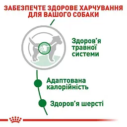 Вологий корм Royal Canin Mini Adult для дорослих собак дрібних порід 85 г (10960019) - мініатюра 3