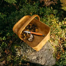 Ніж для грибів Fiskars 21 см (1075043) - мініатюра 7
