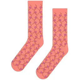 Шкарпетки Boobs (35-39)