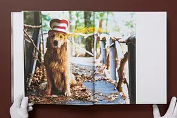 Bruce Weber. The Golden Retriever Photographic Society - мініатюра 3