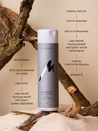 Шампунь від лупи з октопіроксом Anti-Dandruff MELONI 250 мл - мініатюра 3