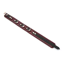 Нашийник з повідцем Liebe Seele Wine Red Collar and Leash - мініатюра 9