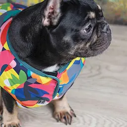 Жилет Pet Fashion Spring для собак, розмір XS, принт - мініатюра 4