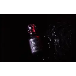 Парфуми з феромонами для чоловіків Medica-Group PheroStrong Pheromone Show for Men 50 мл - мініатюра 6