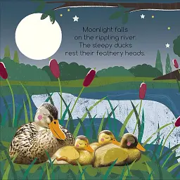 Flip Flap Find! Night-time Animals - - мініатюра 4