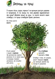 Дитяча енциклопедія про природу 614008 для дошкільнят - мініатюра 3