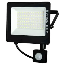 Прожектор EVROLIGHT FM-01D-50 50W 6400К - миниатюра 2