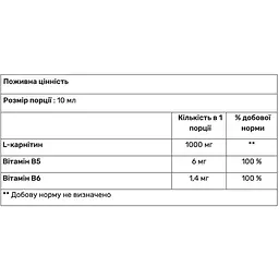 Л-карнітин Nutrend Carnitine 100 000 апельсин 1000 мл - мініатюра 2