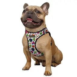 Шлея для собак Bronzedog Sport Vest Геометрія S 20х16х3 см - мініатюра 3