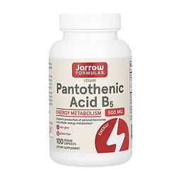 Пантотенова кислота Pantothenic Acid 500 мг - 100 вегетаріанських капсул