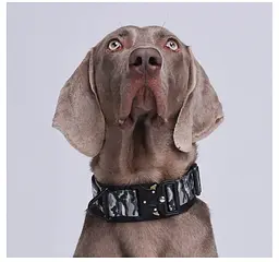 Нашийник для собак Woofy, нейлоновий з металевою пряжкою-фастекс, світловідбиваючий, сірий/камуфляж, XL - мініатюра 4