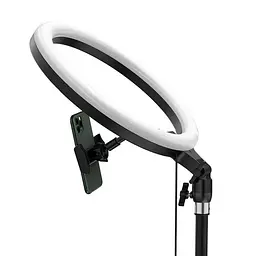 Штатив з підсвічуванням Baseus Live Stream Holder-Floor Stand (CRZB12-B01) - мініатюра 2