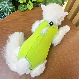 Одяг для котів після операції Holley Light Green M - мініатюра 2