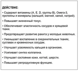 Харчова добавка для собак Home Food Олія Криль, 500 мл - мініатюра 4