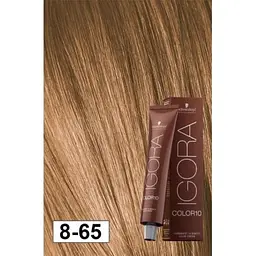 Фарба для волосся Schwarzkopf Igora Color10 New, відтінок 8-65 (світлий блонд шоколадно-золотистий), 60 мл (2682623) - мініатюра 2