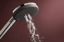 Ручний душ Hansgrohe Raindance Alive Select S EcoSmart chrome 24511000 - мініатюра 4