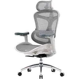 Крісло офісне Sihoo Doro C300L Mesh White (DORO-C300L-A3-102) - мініатюра 3