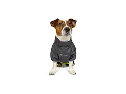 Комбінезон для тварин Pet Fashion "RAIN" XS (4823082416431) - мініатюра 2