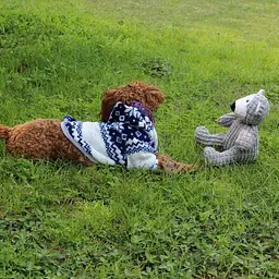 М'яка іграшка для собак IFOYO Bear з пищалкою - мініатюра 5