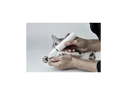 Машинка для стрижки тварин Petkit 2 в 1 Pet Trimmer Pro для стрижки (PK413) - мініатюра 4