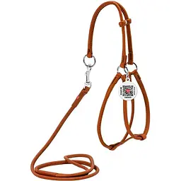 Шлея з повідцем для собак Waudog Soft, шкіряна, кругла, з QR паспортом, 42-60х46-64х0,6/105 см, коричневий (46206)