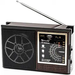 Переносний радіо приймач на акумуляторі GOLON RX-9922 UAR USB FM