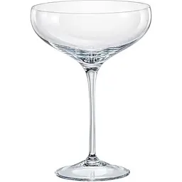 Набір келихів Crystal Bohemia Megan 290 мл 6 шт. (B40856-290)