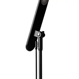 Настільна лампа Polux Goldlux Optimum 324993 - мініатюра 6