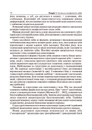 Основи клінічної морфології зубів - Рудольф Самусев - мініатюра 11