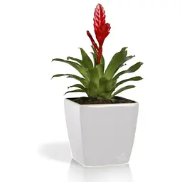 Вазон Plastkon Quadrato Flower Lover 25x25x24 см білий - мініатюра 2