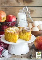 Саджанець Agro-Market Яблуня Флоріна (зимовий сорт, пізній термін дозрівання) 1 шт. в упаковці (15758) - мініатюра 2