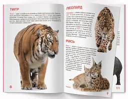 Велика книжка. Дикі тварини - мініатюра 4