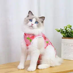 Одяг для котів після операції Holley Litchi L - мініатюра 4