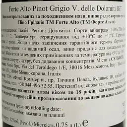 Вино Forte Alto Pinot Grigio біле сухе 0.75 л - мініатюра 4