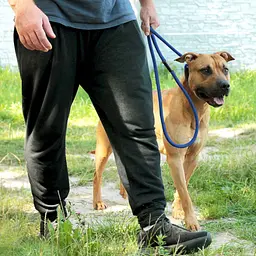 Повідець-зашморг для собак Barksi Active (довжина 183 см діаметр 12 мм) шахмати чорно-блакитний - мініатюра 6